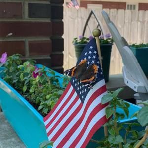 Meet your Posher, Delana